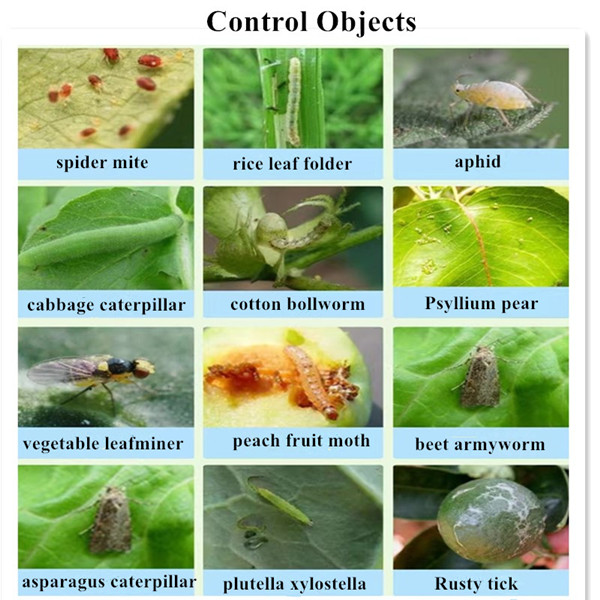 fungicides with benomyl or carbendazim