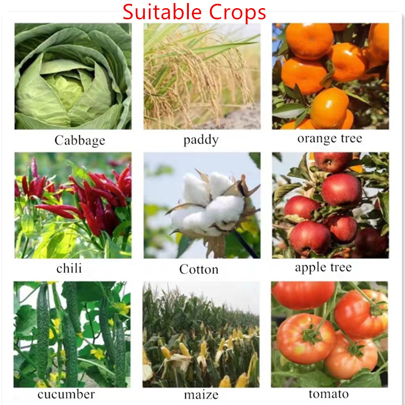 Azoxystrobin Fungicide in Agriculture Effectiveness and Usage Insights