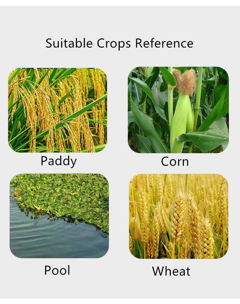 custom flutriafol fungicide