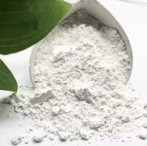Applications of Titanium Dioxide Powder for Sale in the Paint Industry
