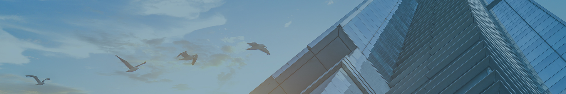 High-Quality R900 TiO2 - Superior Titanium Dioxide for Various Applications