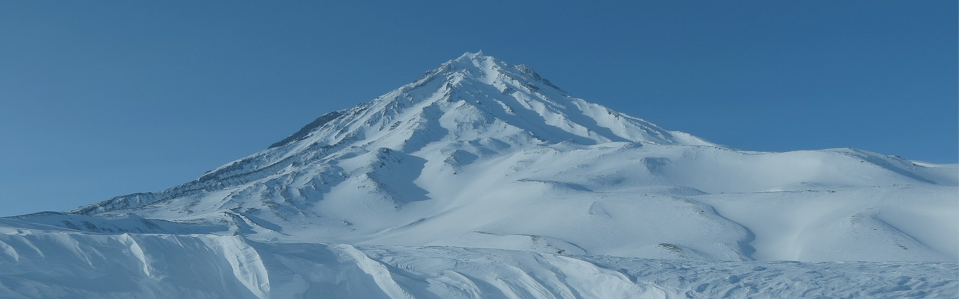 Understanding the Importance of CAS Number for Identifying Titanium Dioxide in Various Applications