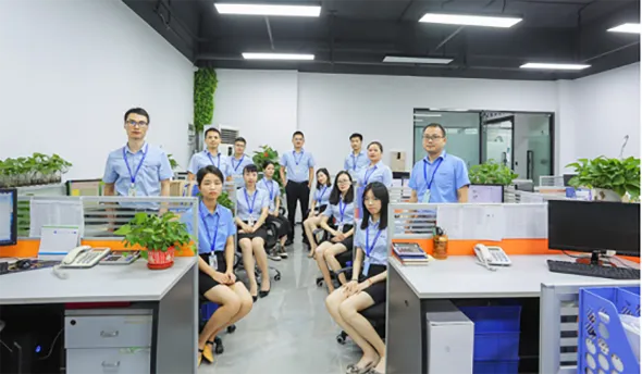 SALES TEAM