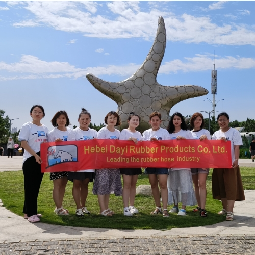 stainless steel braided ptfe hose