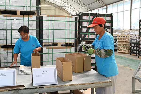 china random stone cladding suppliers