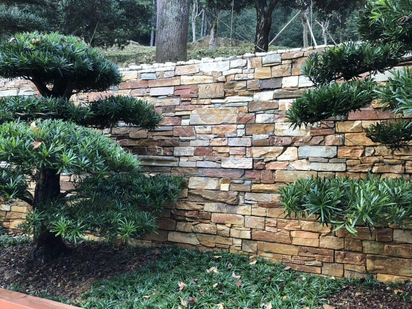 “Rock” Your Space with Natural Stone Cladding