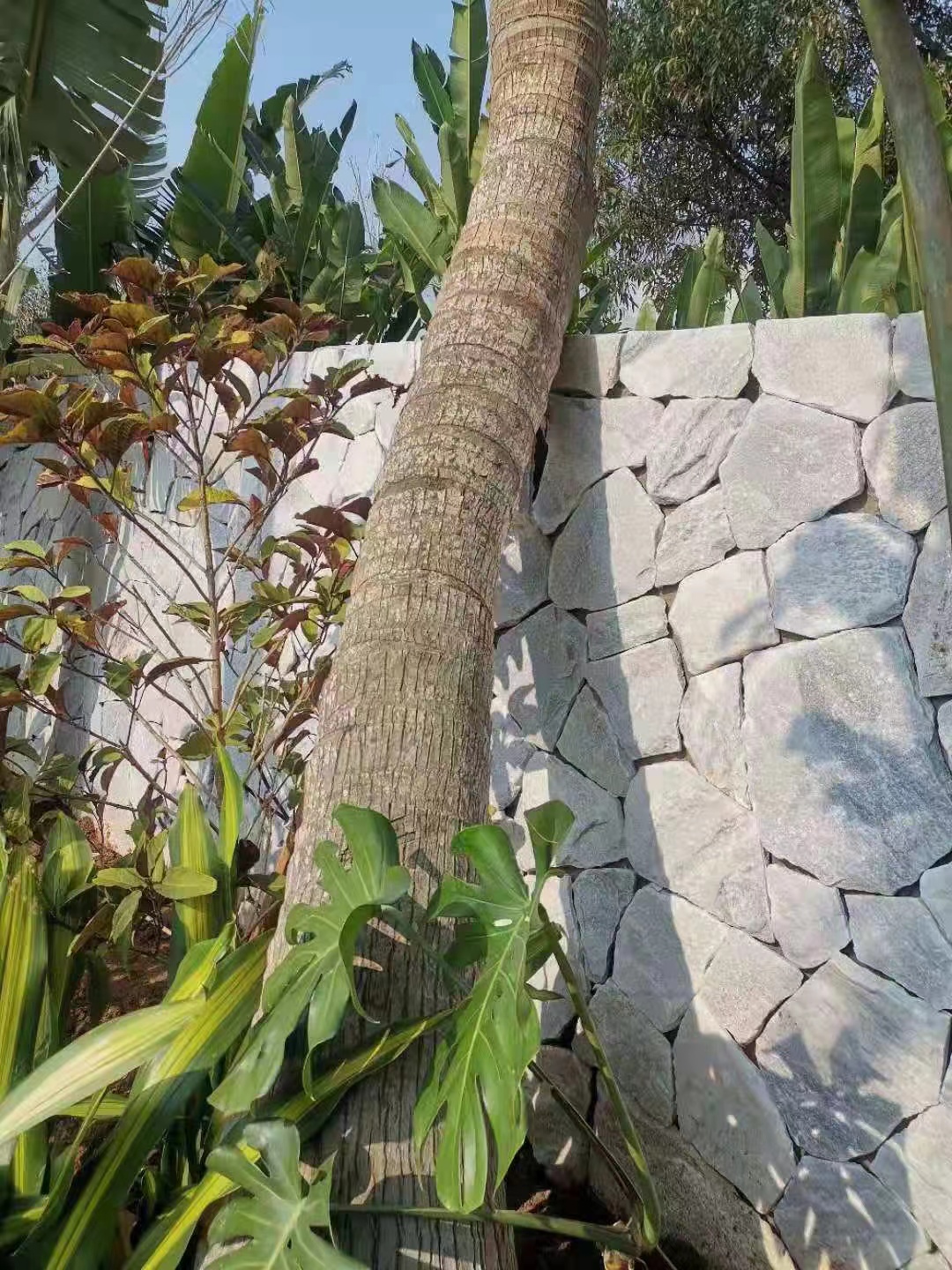 Natural Stone Options for Outdoor Cladding to Enhance Your Home's Exterior Design