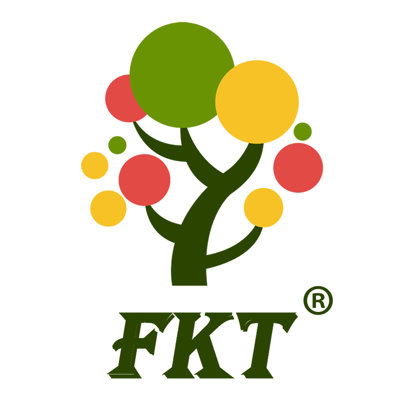 Electric scooters for older children best options for safe and fun rides