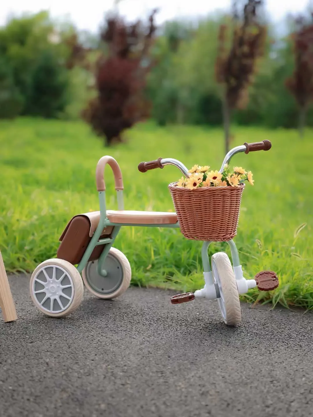 The Perfect Baby Stroller for Your Little One