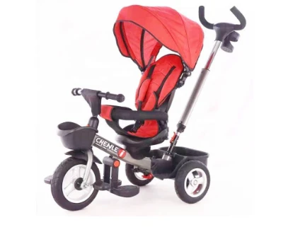 The Rise of Electric Mobility for Kids