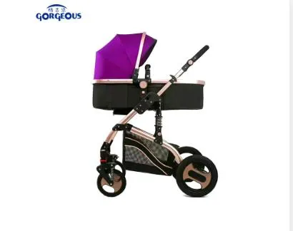 Bike Trailer Compatibility in Multi-Functional Baby Strollers