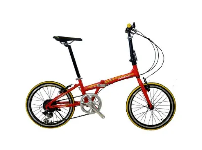 Curve Folding Kick Scooter