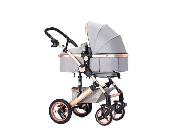 2020 Global Baby Stroller and Stroller Market Analysis, Type, Application
