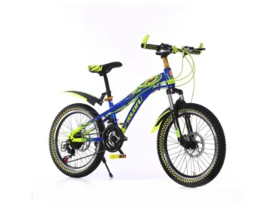 Growing With Wheels: Adjustable Kids Bikes