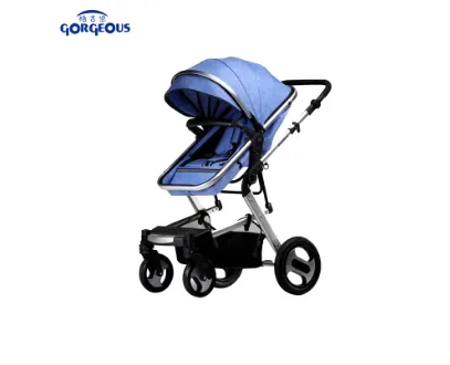 The Importance of Car Stroller in Protecting Infants