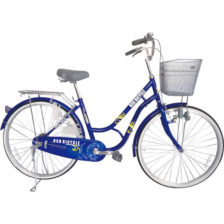 2020 Classic heavy duty bicycle with factory price, cheap holland bike