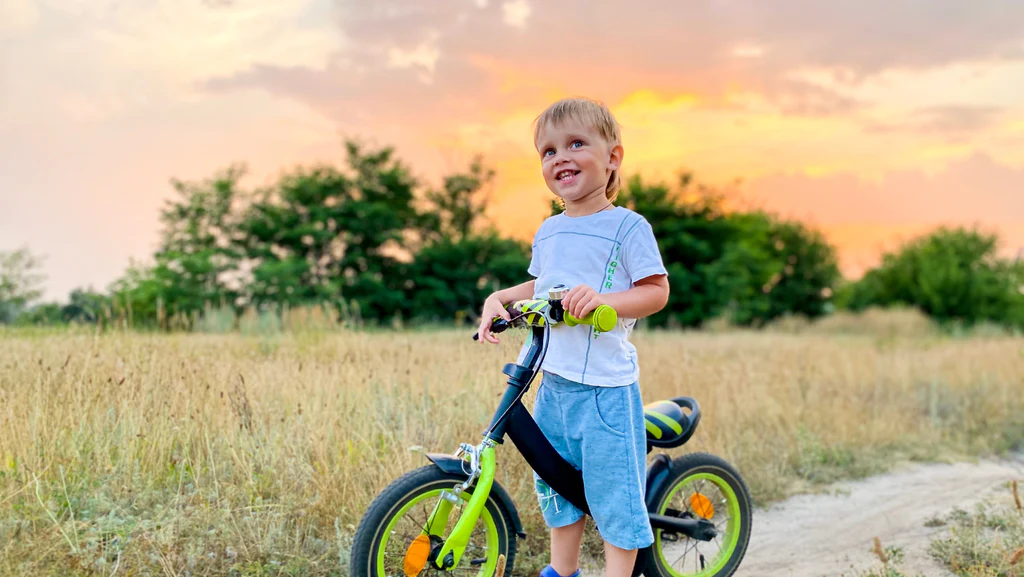 2020 Girls Bicycles from Top Factories and Their Unique Features
