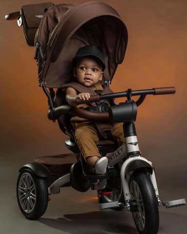 baby stroller bike
