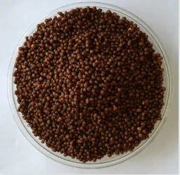 Boost Your Garden with Organic Fertilizers