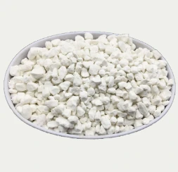 Essential Potassium Fertilizers for a Thriving Garden
