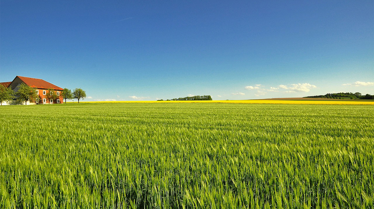 3-4-5 fertilizer supplier