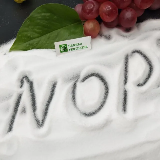 Potassium Nitrate: A Must-Have Fertilizer for Healthy Plants