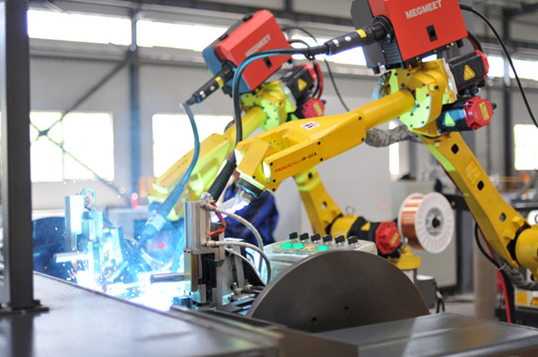 Die besten organischen Düngemittel für Blattgemüse und Gemüse zur Förderung des Wachstums