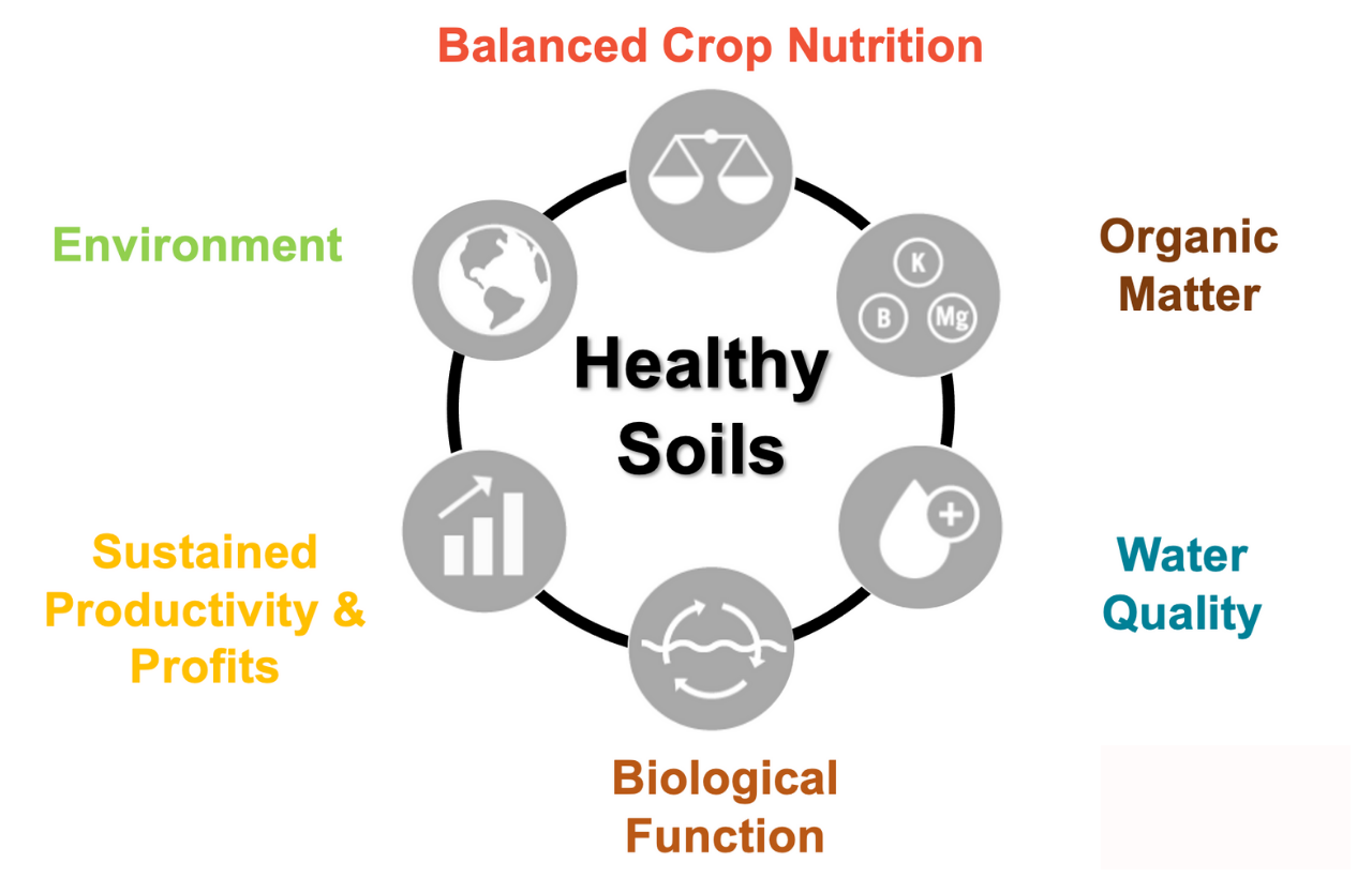 buy 25-3-10 fertilizer