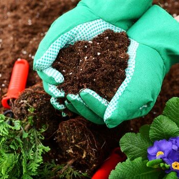 Top Organic Fertilizers for Thriving Container Gardens This Season