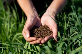 Organic Fertilizers for Vegetable Gardening from Leading Manufacturers in Sustainable Agriculture