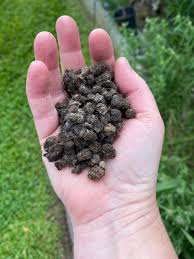 Water Soluble Fertilizers for Fruit Trees Producers and Suppliers Worldwide