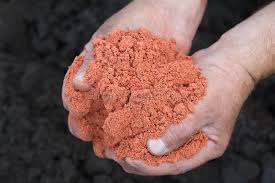 Potassium in our soil is running low, threatening global food security