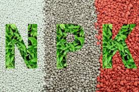 Fertilizer Labels: What N-P-K Numbers Mean