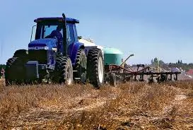 Benefits of Nitrogen for Corn Production