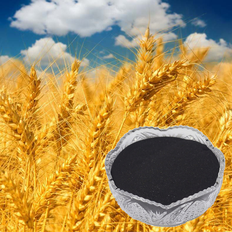 Organic Amino Acid Fertilizer for Plants | Boost Growth & Yield