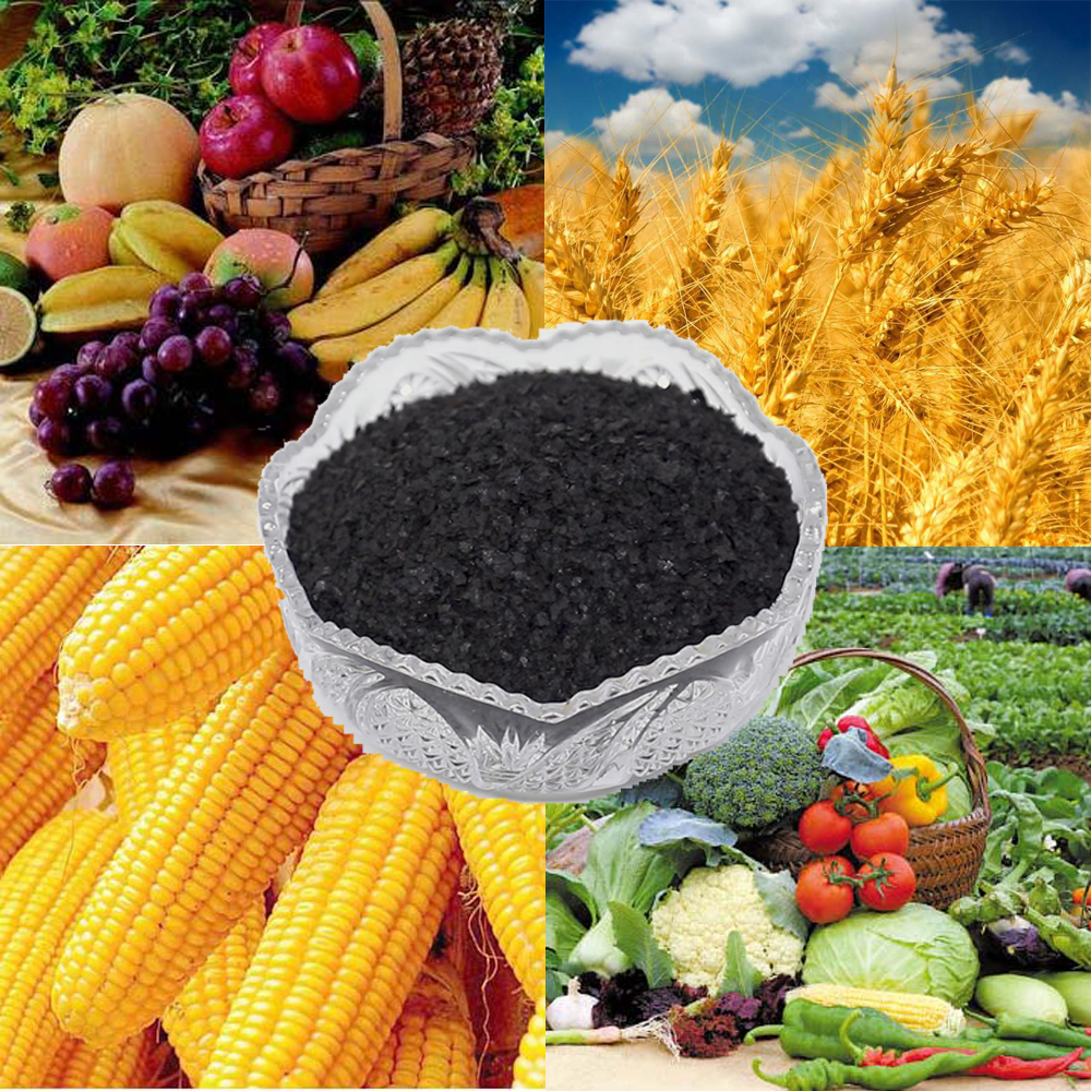 High-Quality Organic NPK Fertilizer 8-8-8 in Black Granular Form