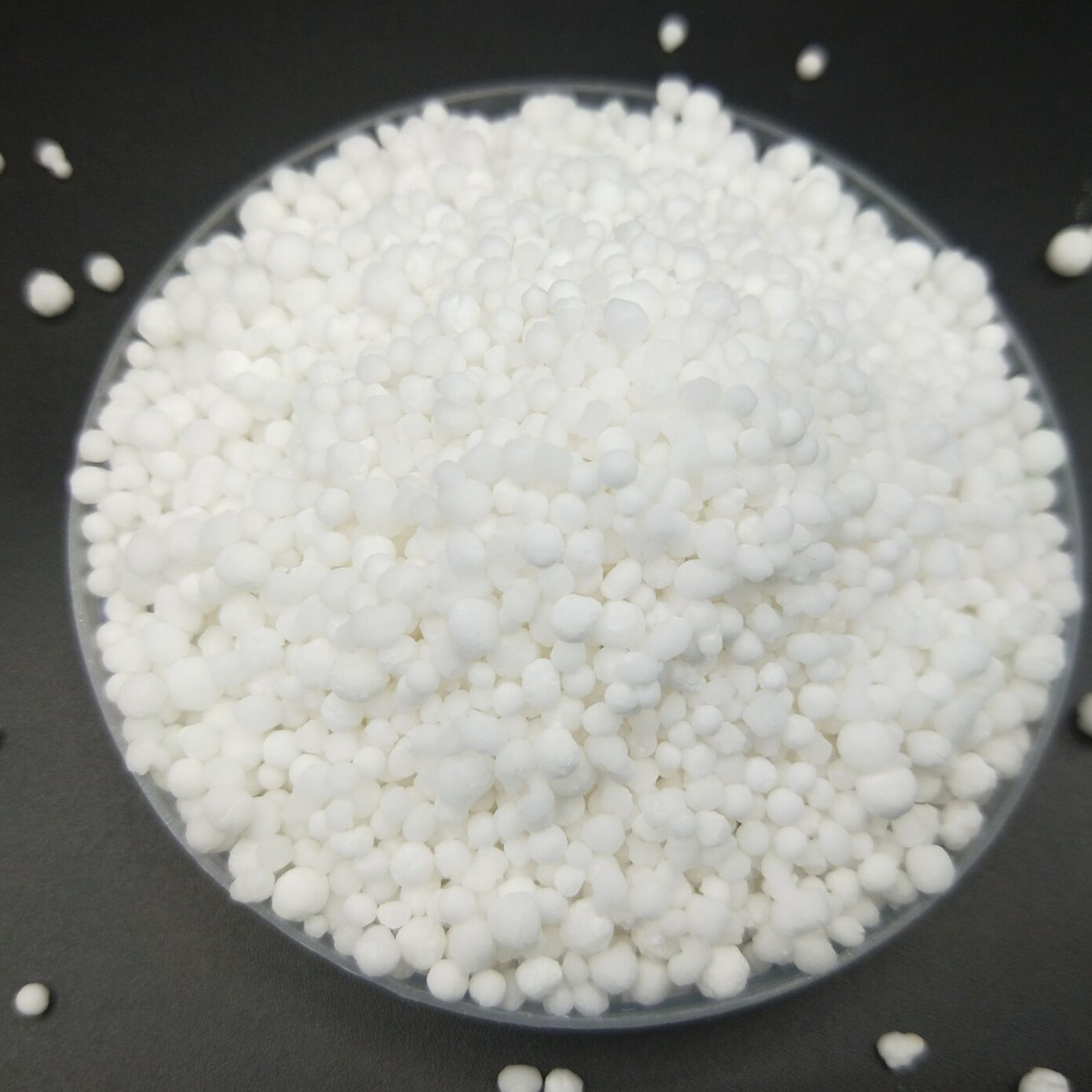 Premium Organic Dry Fertilizer for Enhanced Plant Growth and Soil Health