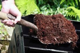 Top Organic Fertilizers for Fall Soil Preparation to Enhance Garden Growth