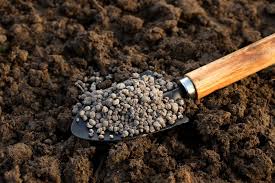 Consider Purchasing 17-17-17 Fertilizer for Optimal Plant Growth and Health in Your Garden