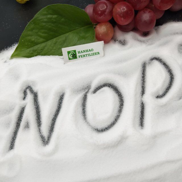 Exploring the Best Options for Purchasing NPK Fertilizer Products Online and In-Store