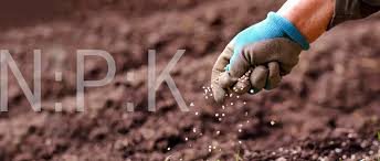 Herb and Vegetable Fertilizer Suppliers for Organic Gardening Solutions and Nutrient Boosts