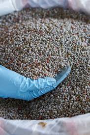 purely organic fertilizer factories