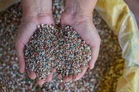 Exploring the Production Process of 12-8-16 Fertilizer Manufacturing Facilities and Their Environmental Impact