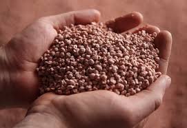 Top Suppliers of Potassium Humate Powder for Agriculture and Soil Improvement