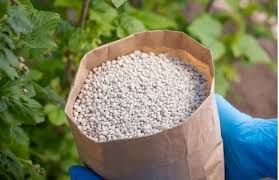 High-Quality Fertilizers for Optimal Plant Growth and Nutrient Enhancement in Garden and Agriculture