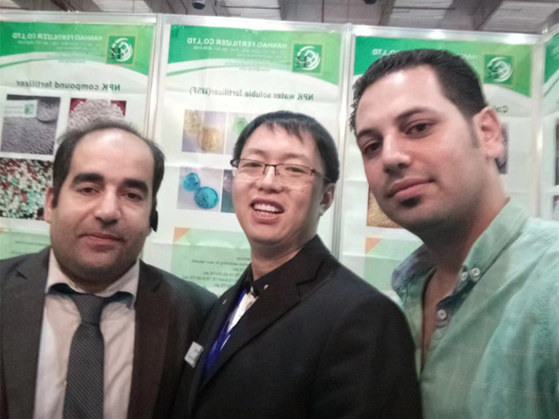 ammonium sulphate powder