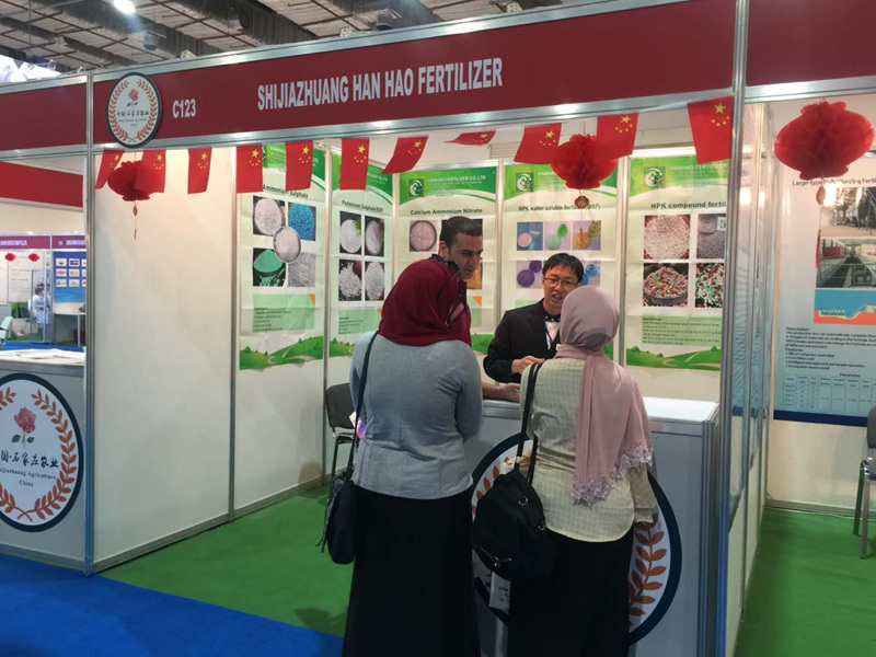 best high phosphorus fertilizer organic