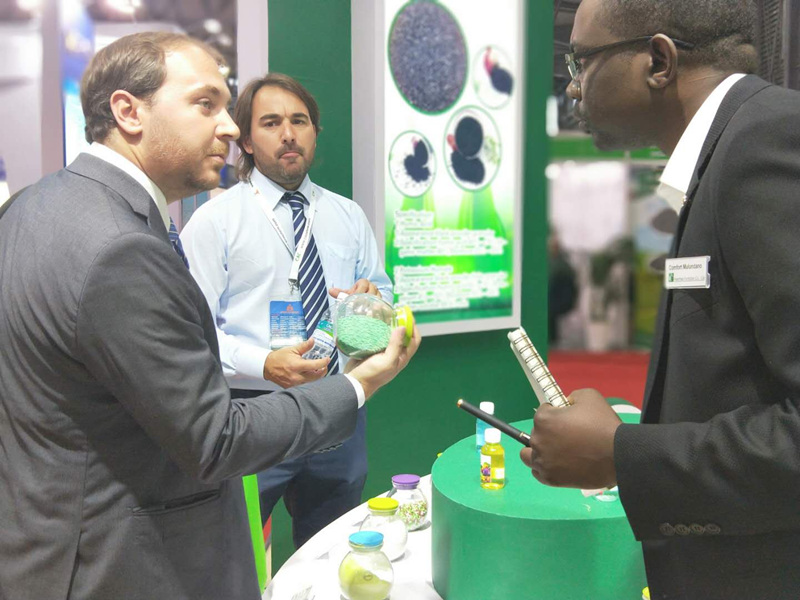 buy 16-16-8 fertilizer