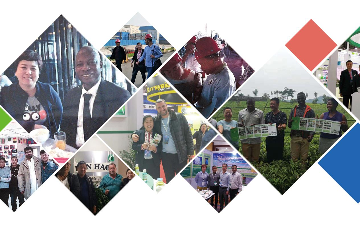 کارخانه تولید کود اوره کیسه‌ای با کیفیت بالا و مناسب برای کشاورزی