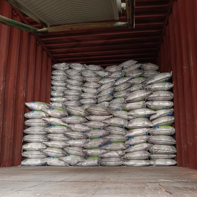 Top Fertilizers for 2024 to Maximize Your Garden's Growth Potential